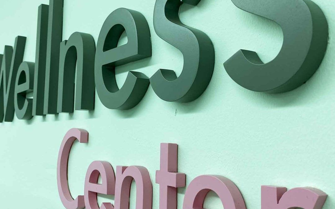 ¿Cuáles son las diferencias entre el PVC y el DM?​